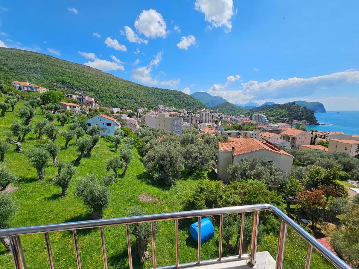 Medin Apartments Bluvista Petrovac Exterior photo