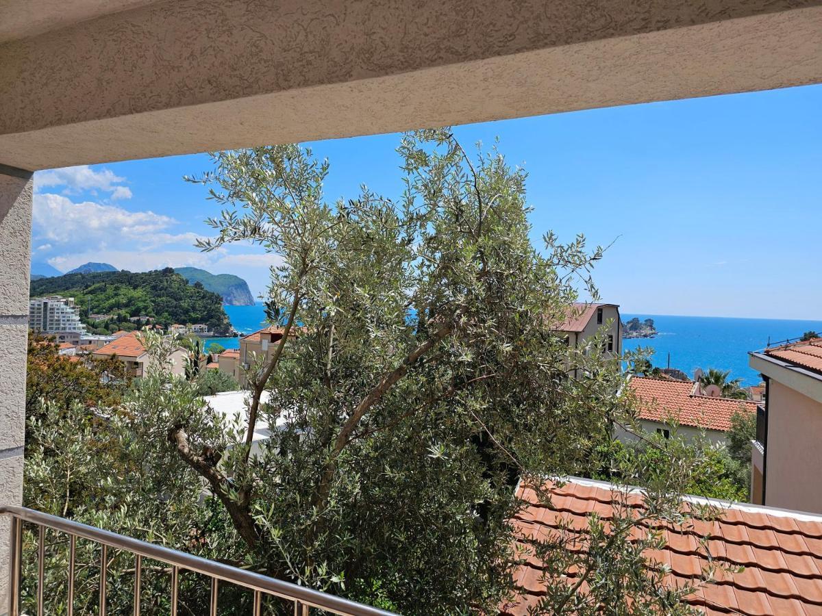Medin Apartments Bluvista Petrovac Exterior photo
