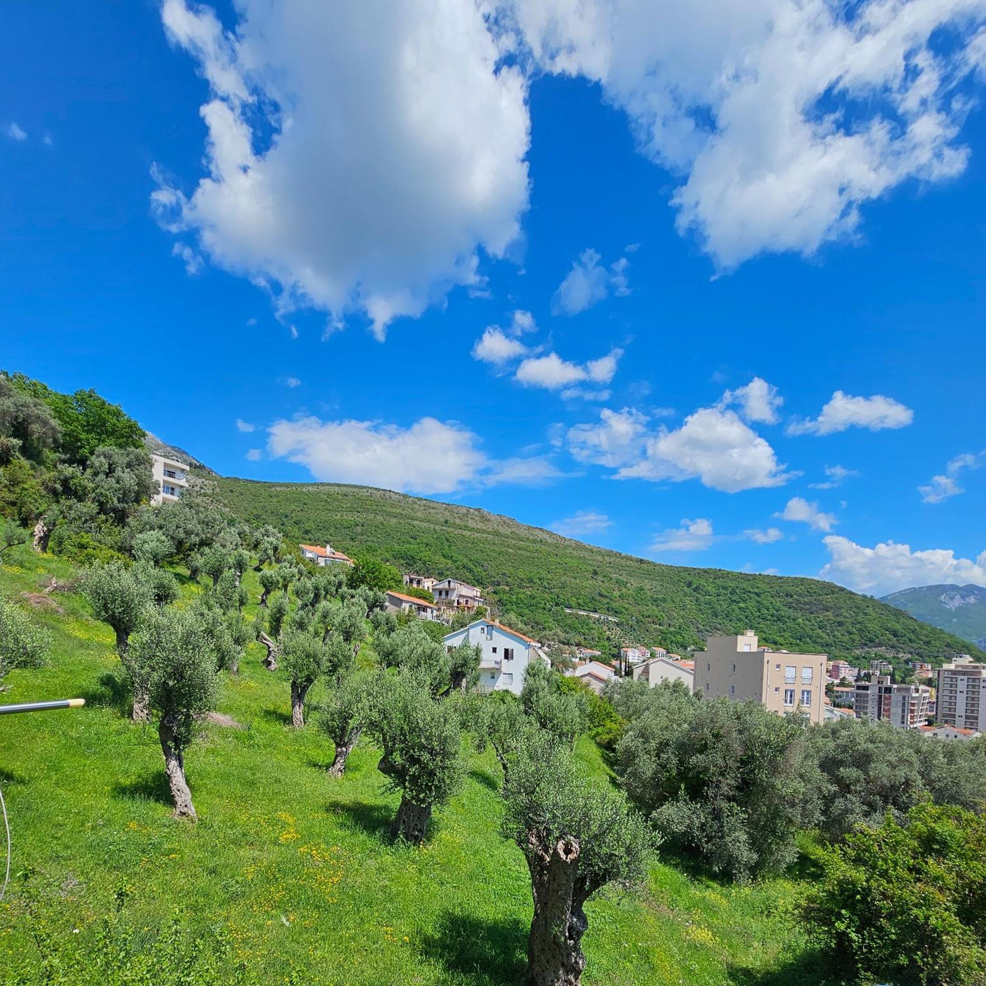 Medin Apartments Bluvista Petrovac Exterior photo