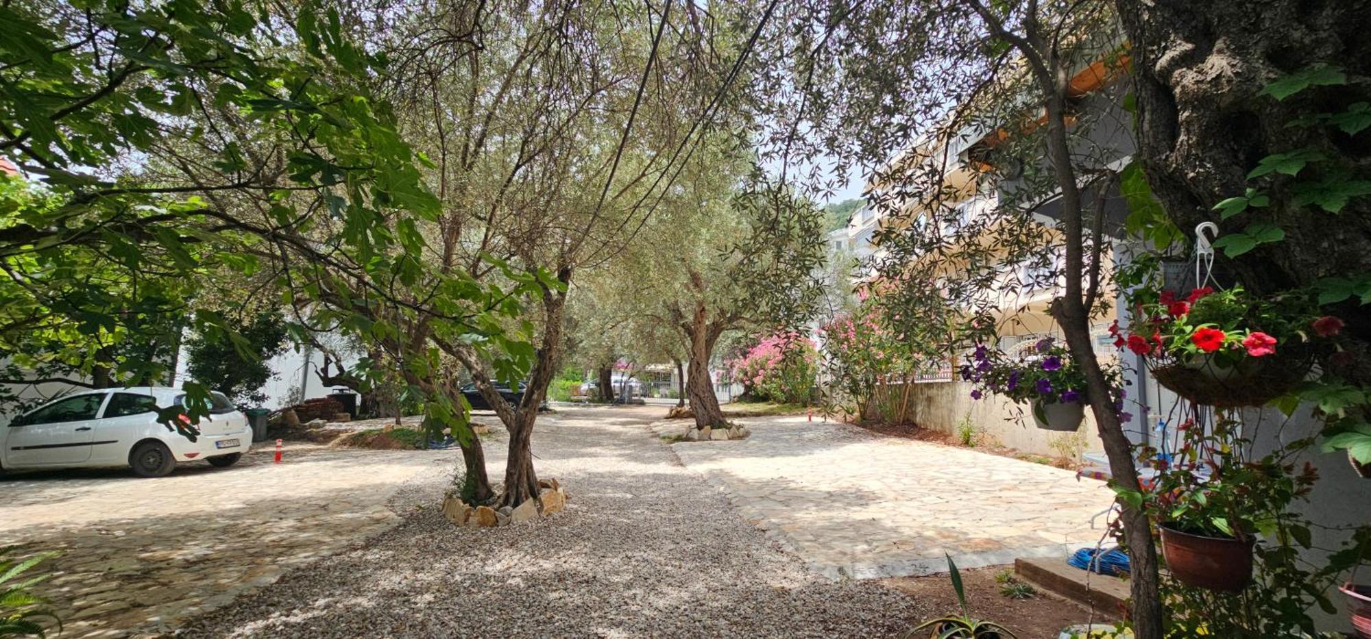 Medin Apartments Bluvista Petrovac Exterior photo